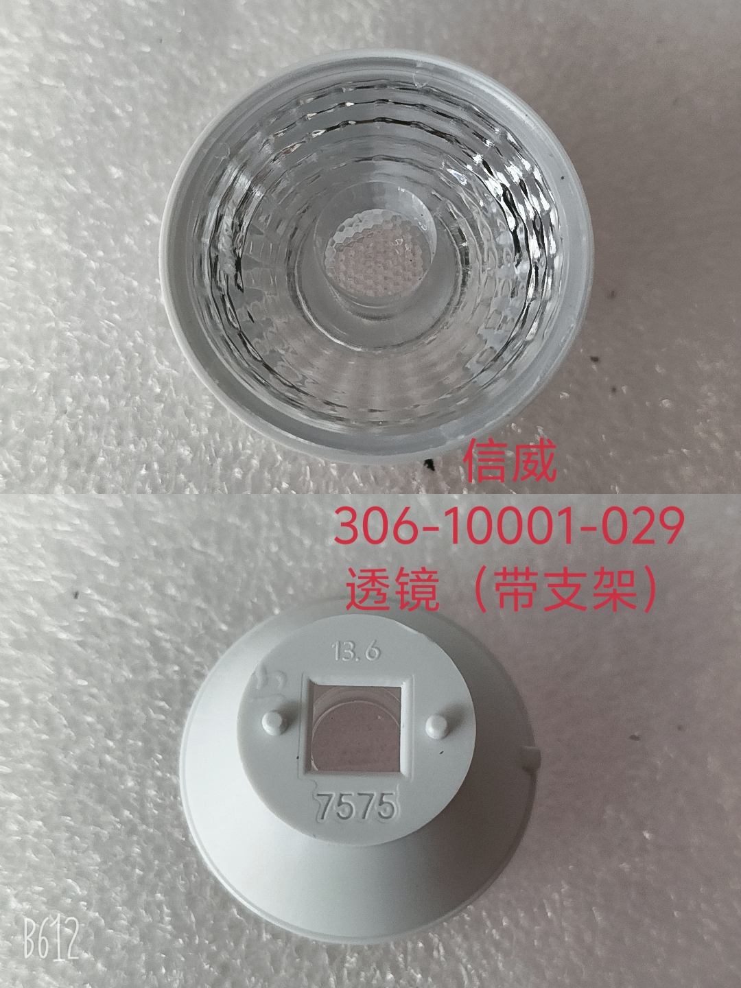306-10001-029