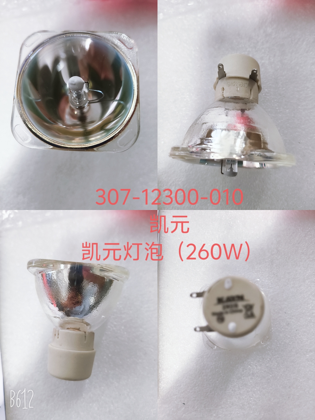 307-12300-010